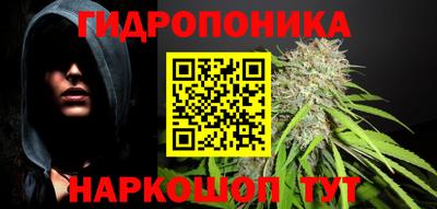 дурь Боровичи