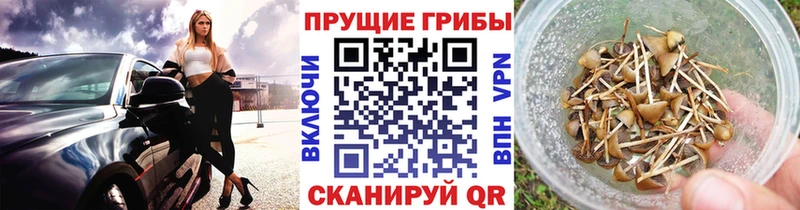 Псилоцибиновые грибы Magic Shrooms  наркота  Великие Луки 